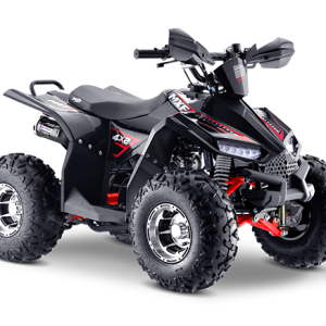 Quadriciclo MXF Brave 110
