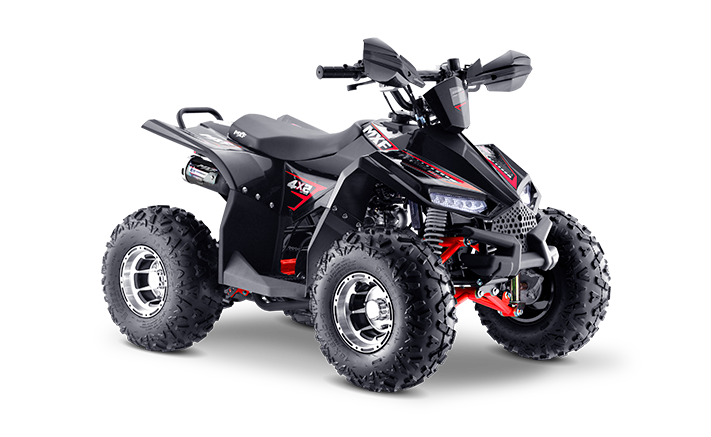Quadriciclo MXF Brave 110