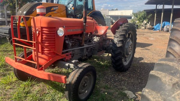 Massey 65 X